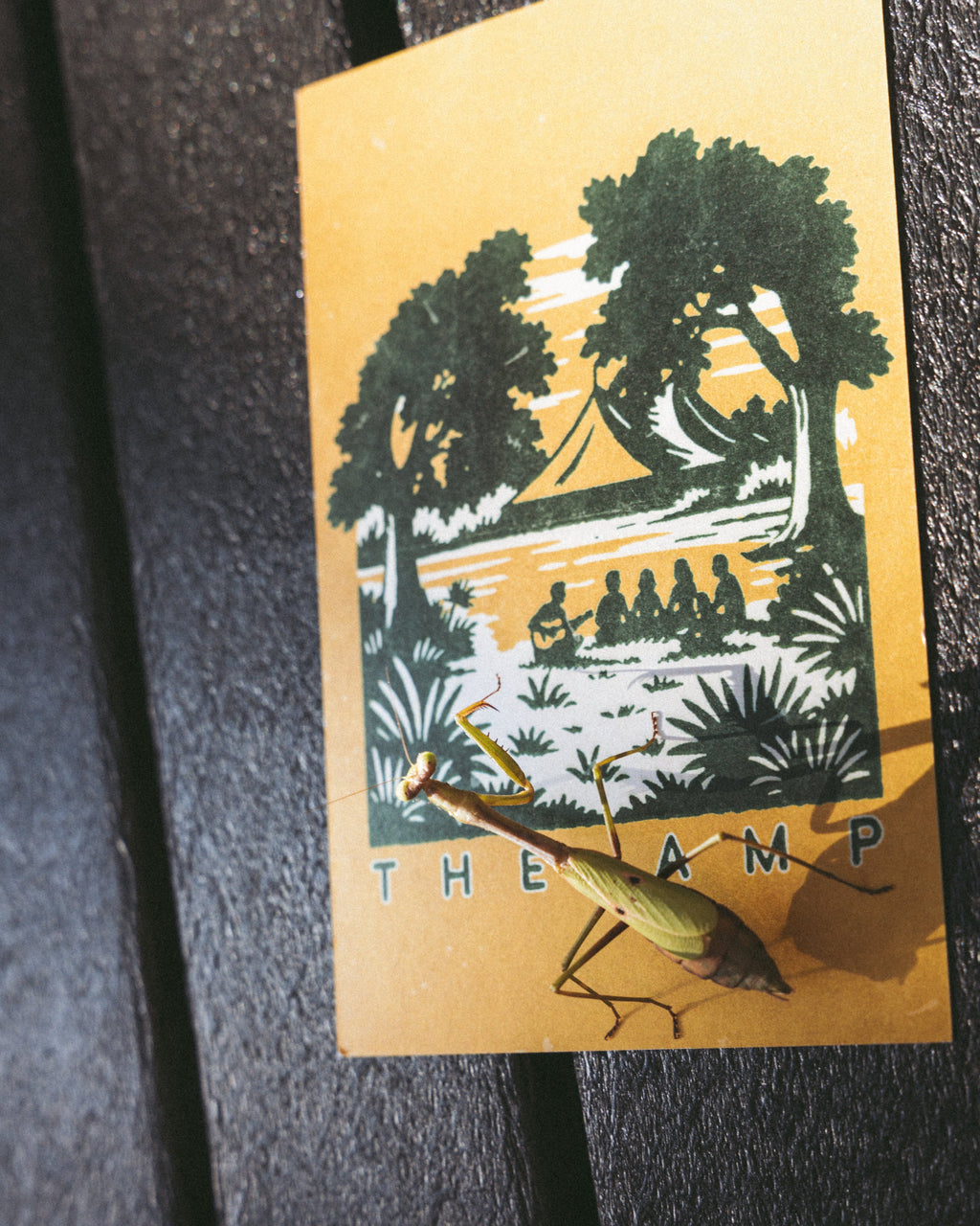 Notes from the Trail Postcard