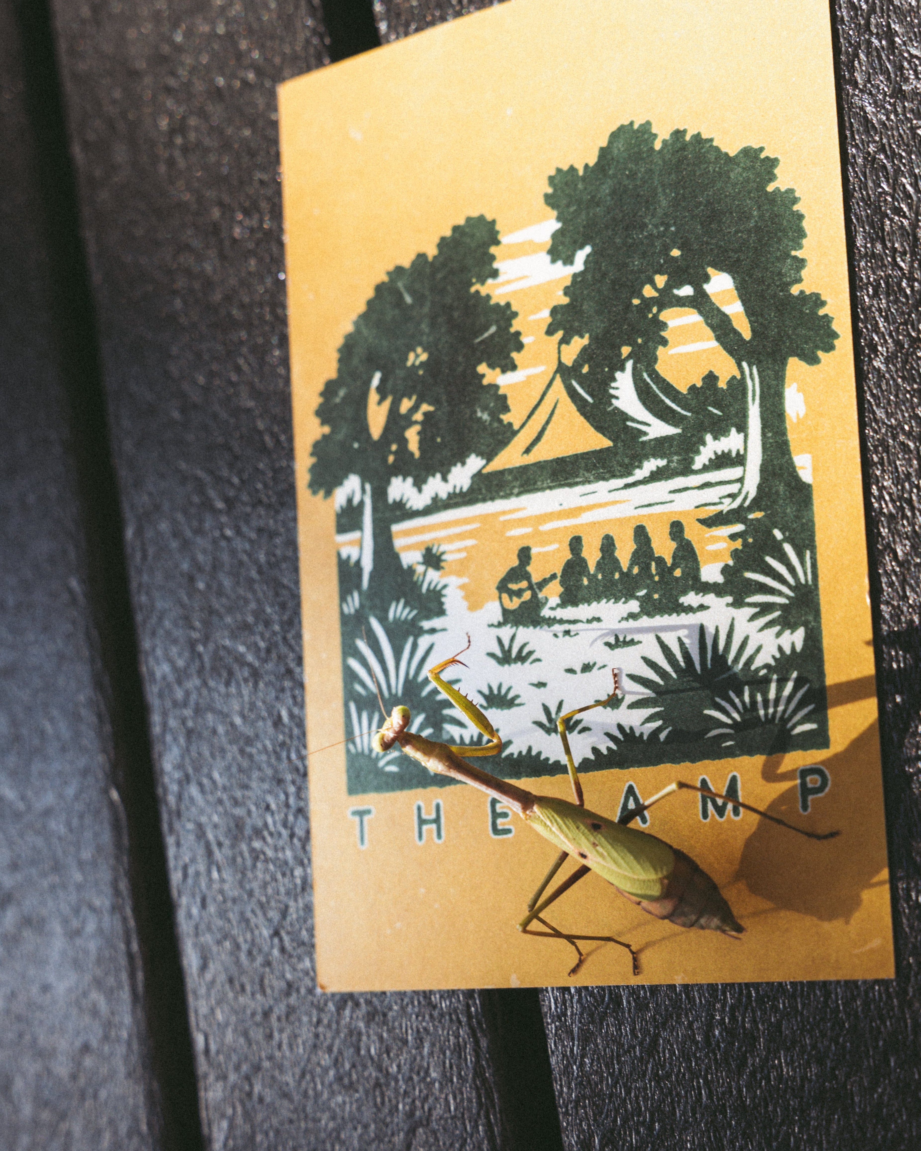 Notes from the Trail Postcard