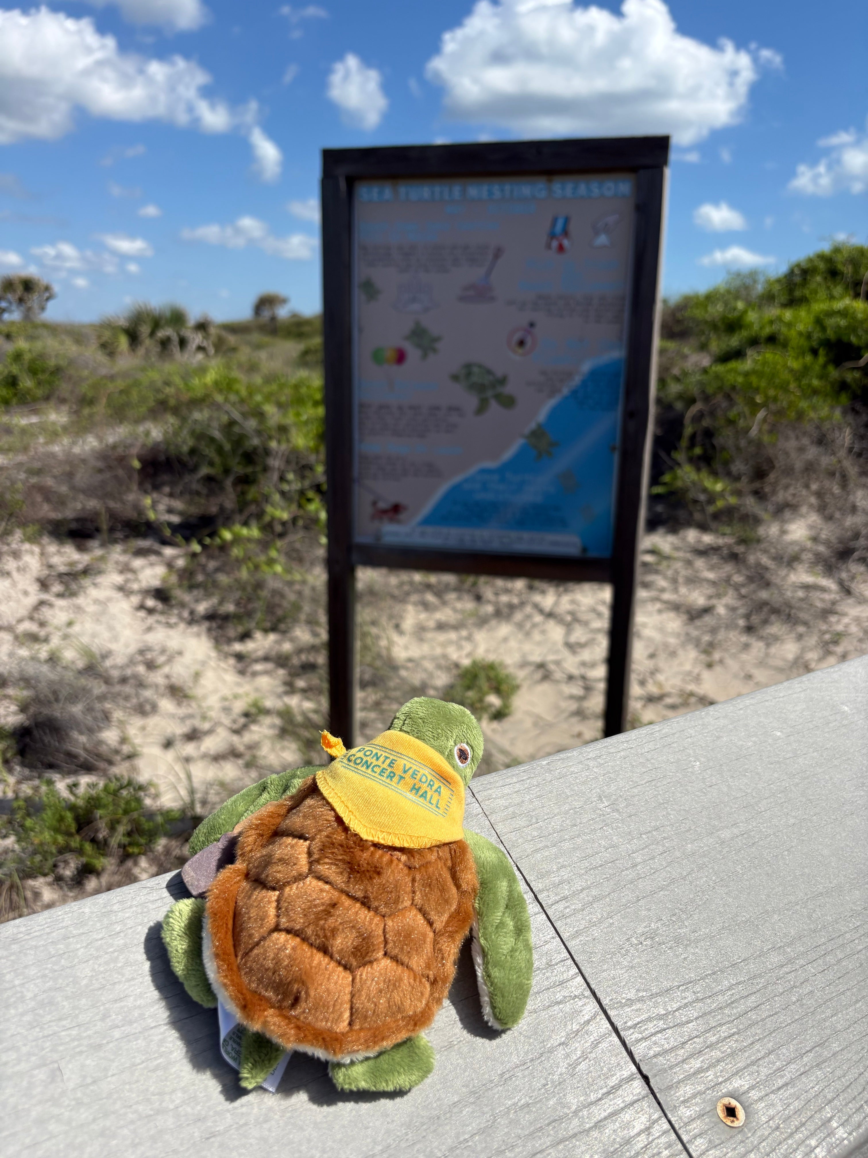 The PVCH Turtle Stuffed Animal